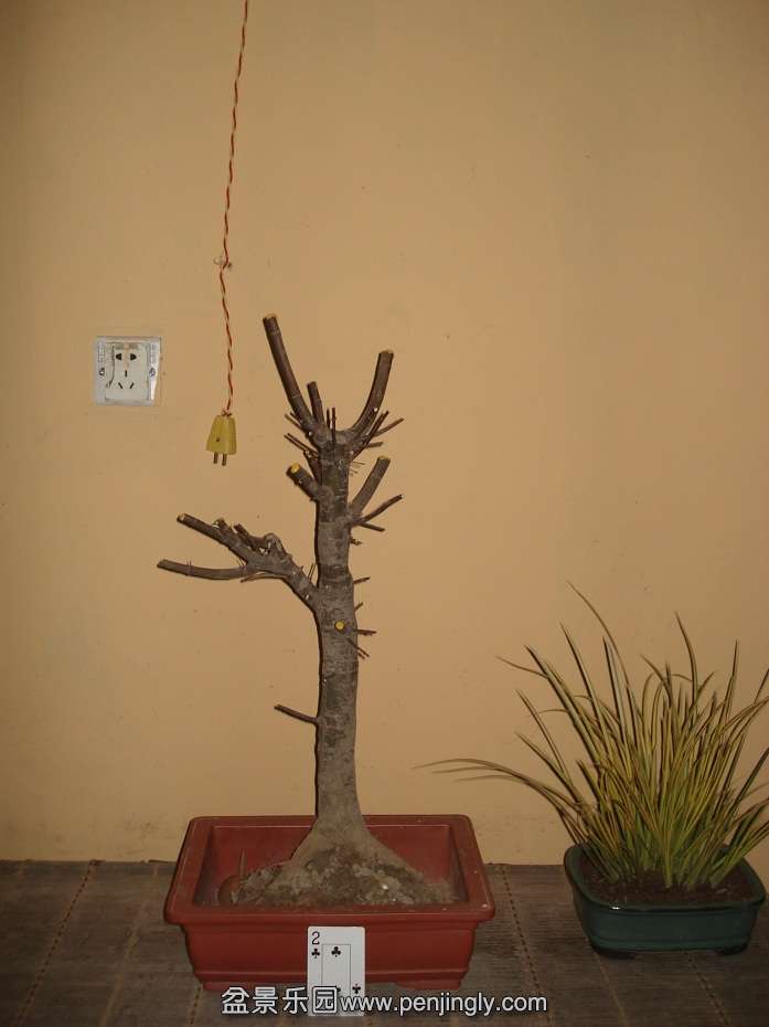 DSC01790.JPG
