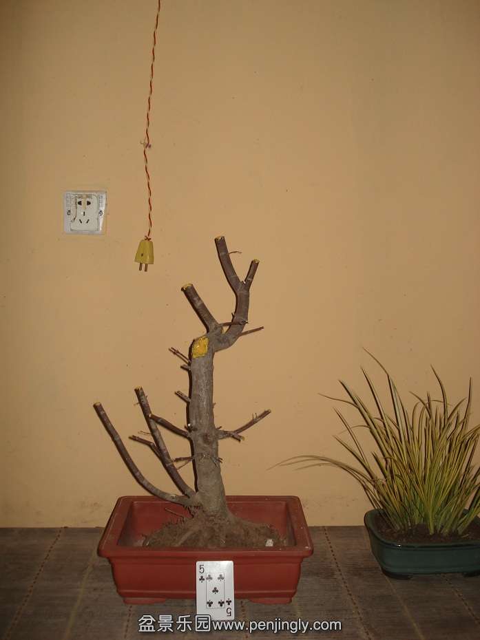 DSC01798.JPG