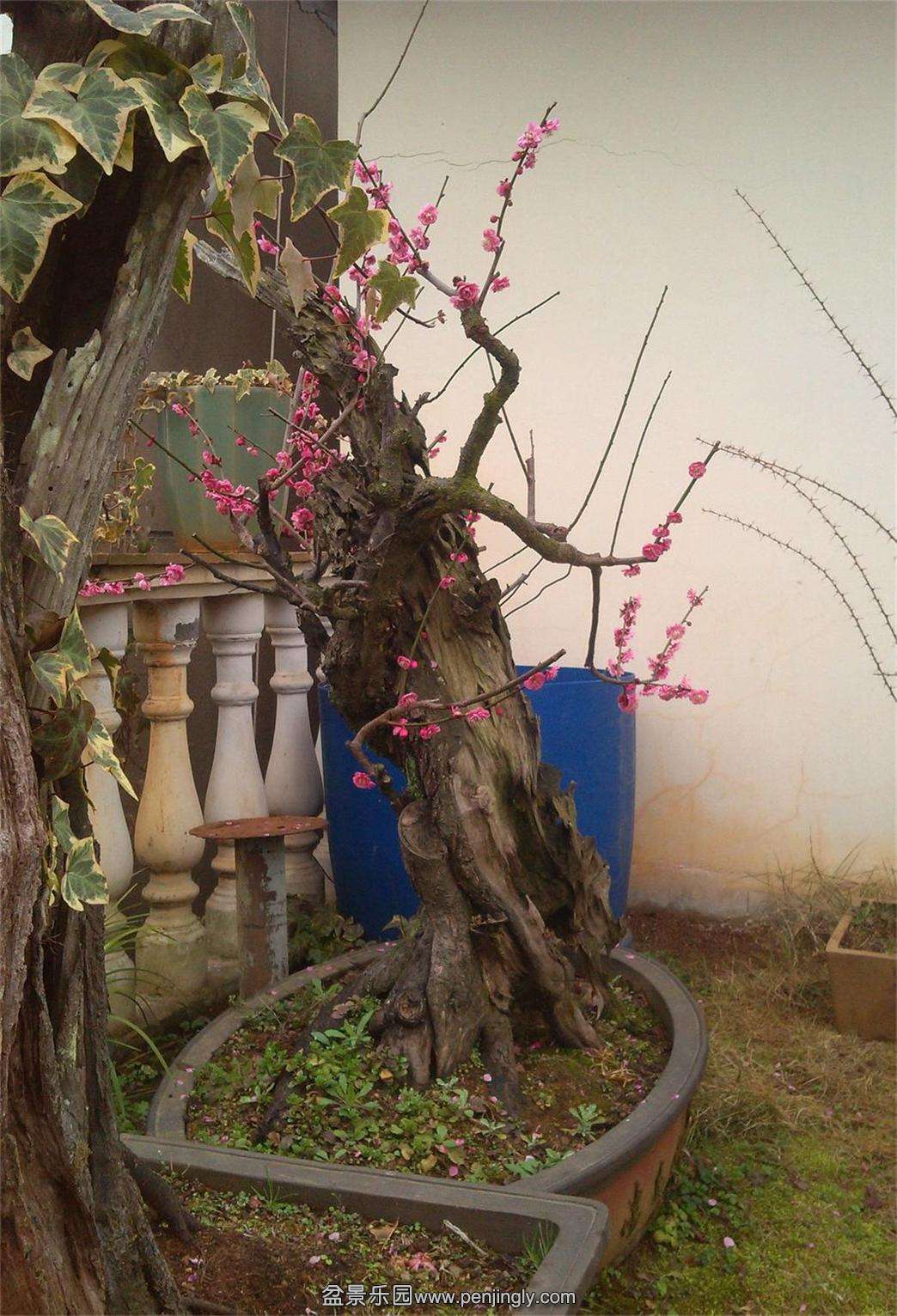 ÷׮57IMG_20150222_092204_ͼ_2345ͼ.jpg