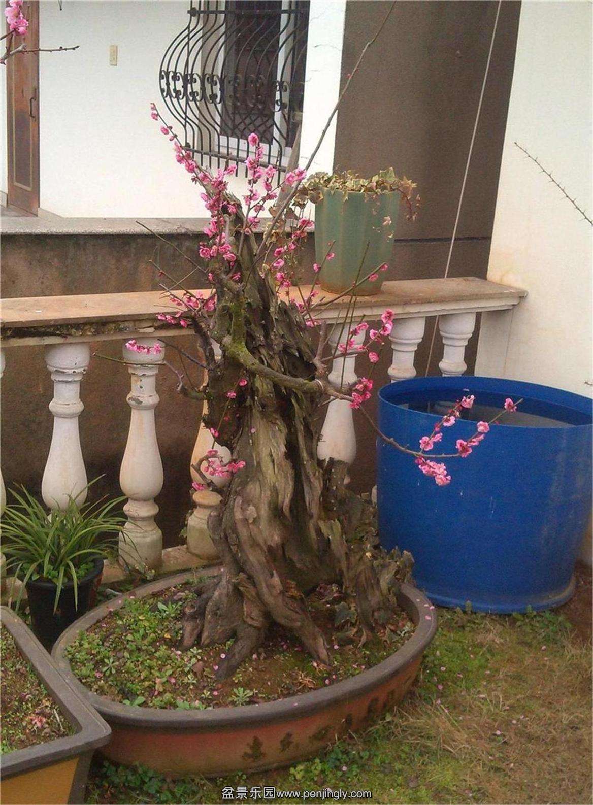 ÷׮56IMG_20150222_092146_ͼ_2345ͼ.jpg