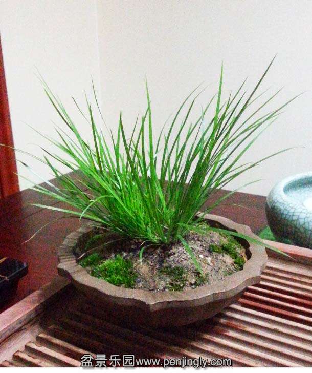 20140822_213855_mh1408791235614.jpg