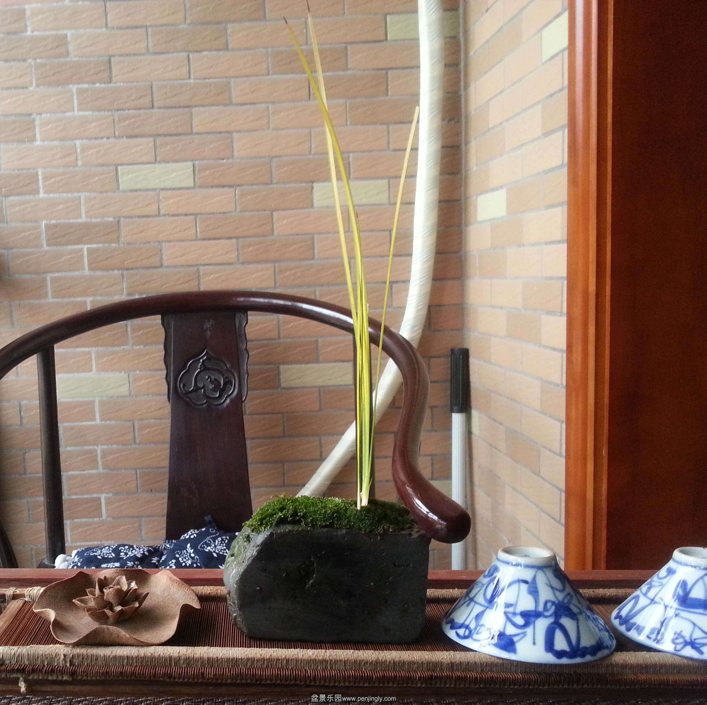20150304_155107.jpg