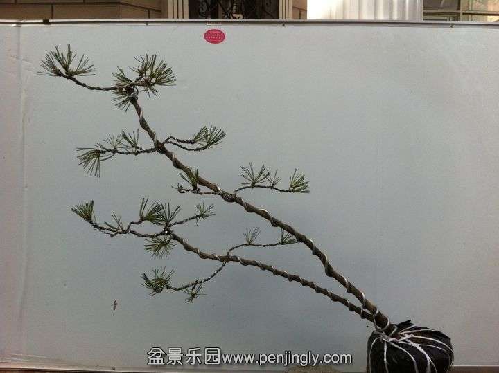 193121jfcll2n5zcnbnqvu.jpg.thumb (1).jpg