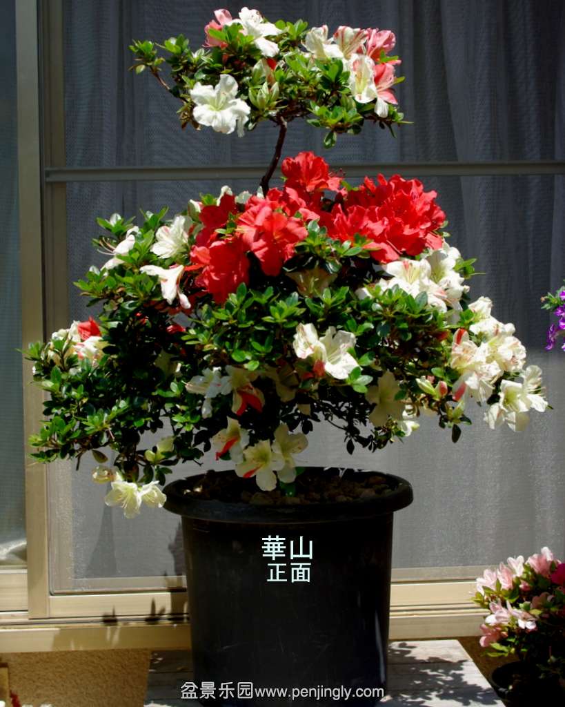 IMGP3821.jpg