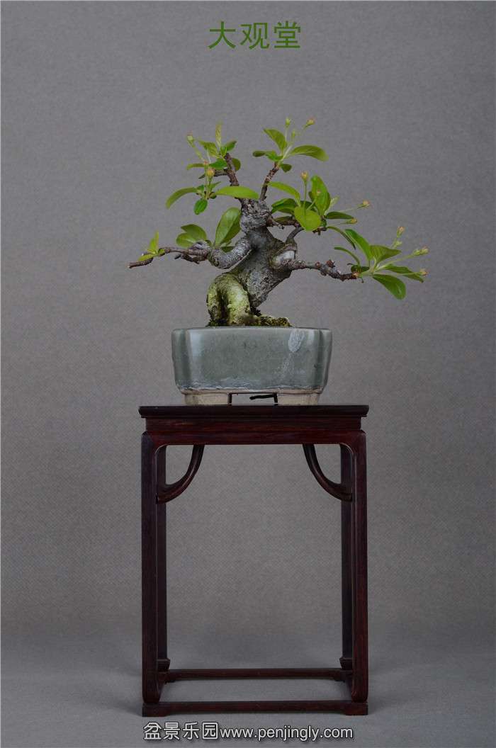Ƭ 041.jpg