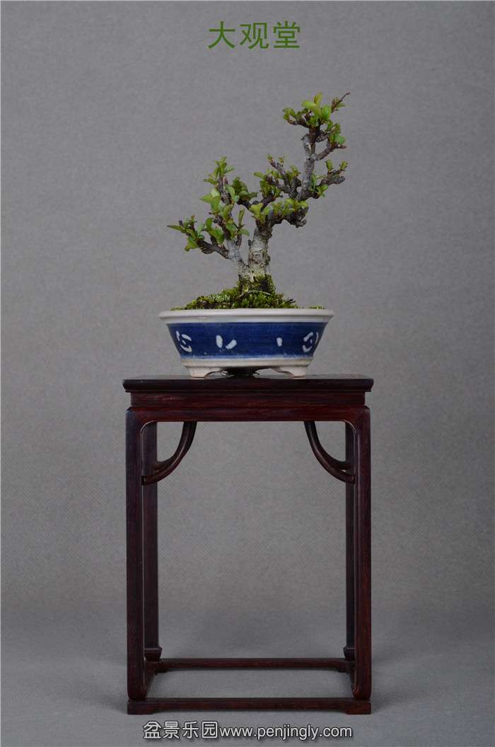 Ƭ 051.jpg