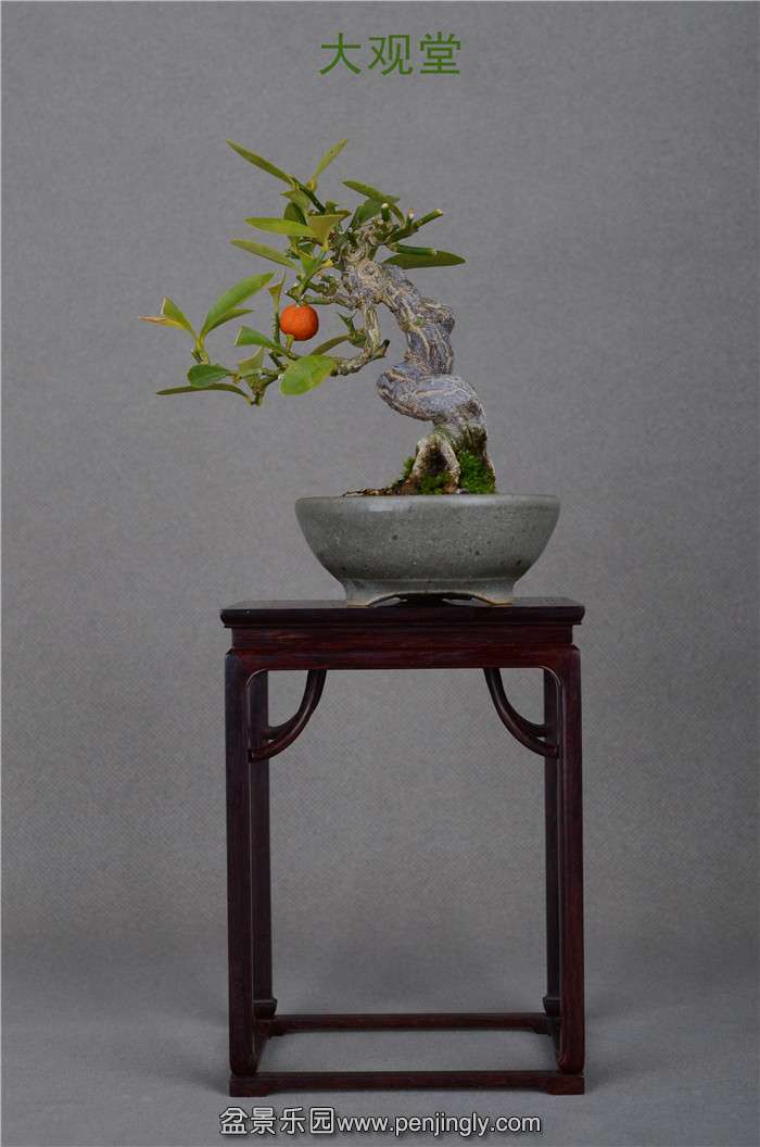 Ƭ 057.jpg