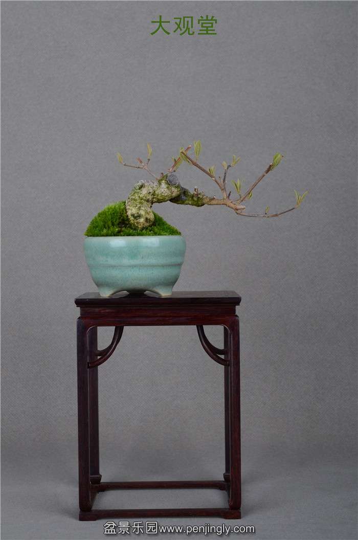 Ƭ 061.jpg