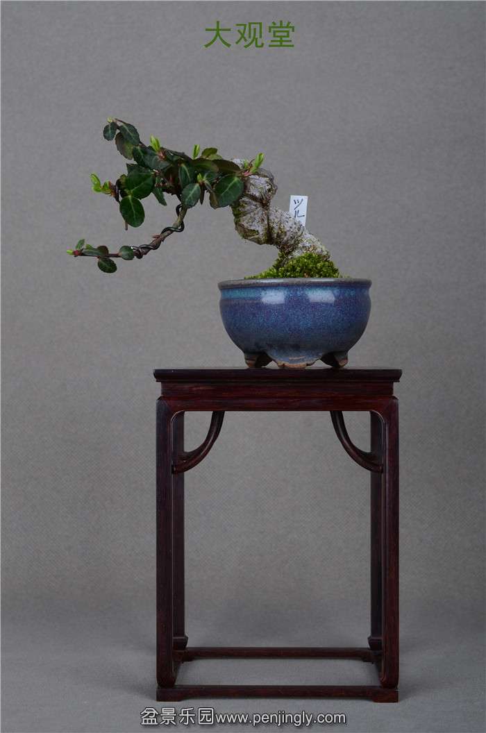 Ƭ 069.jpg