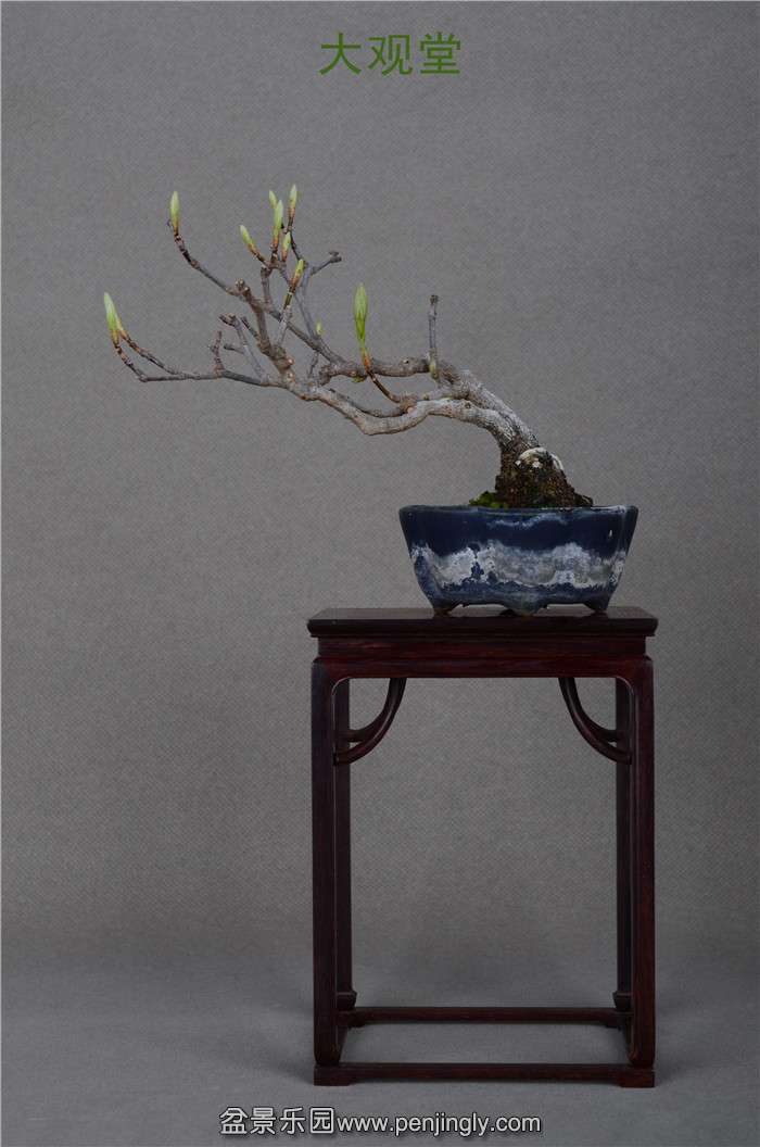 Ƭ 074.jpg