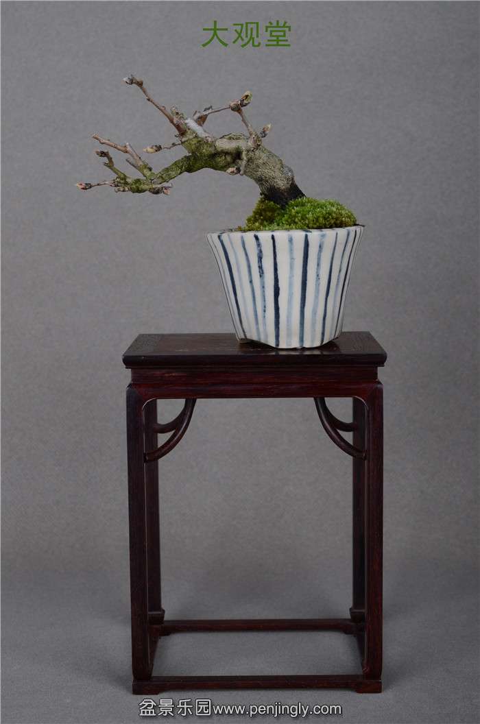 Ƭ 086.jpg