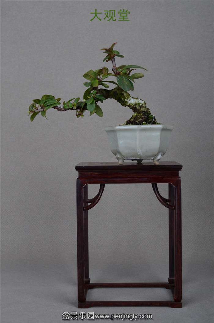 Ƭ 090.jpg