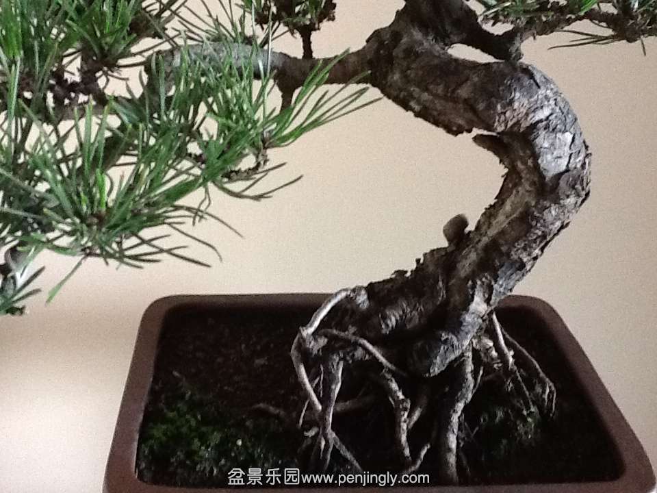 IPAD��Ƭ 161.jpg