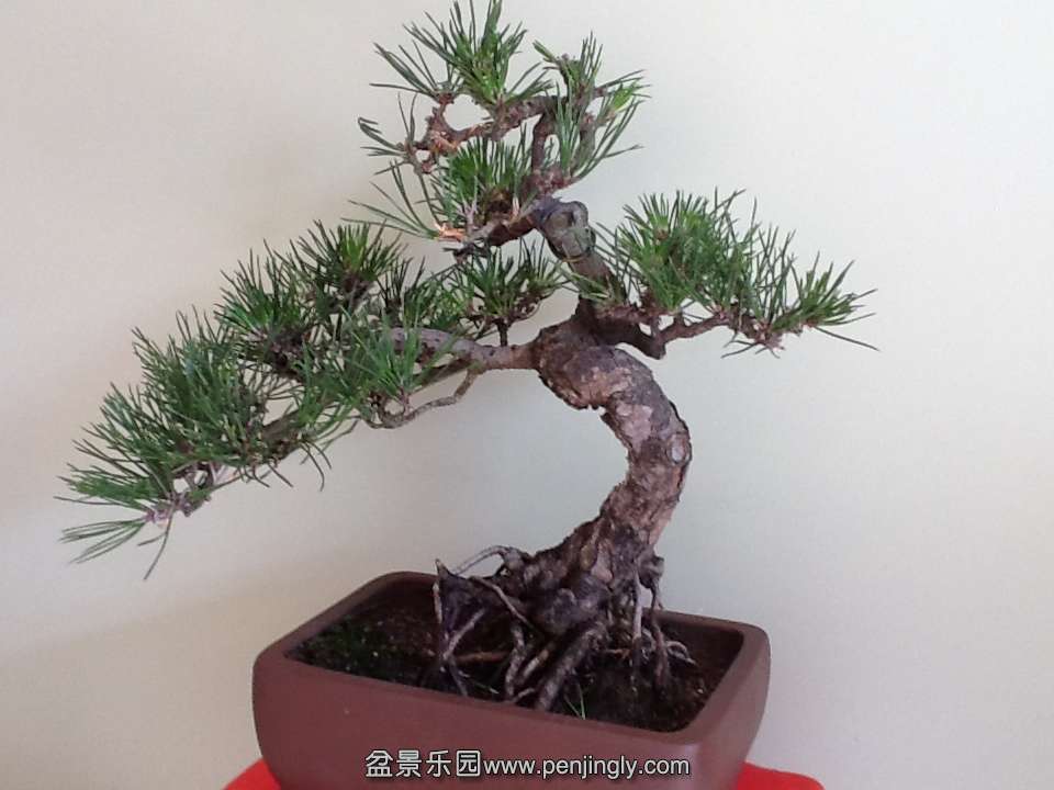 IPAD��Ƭ 162.jpg