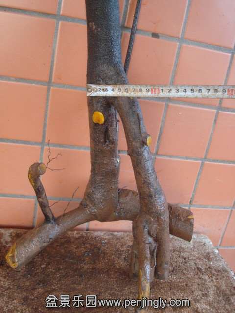 DSC01957.JPG