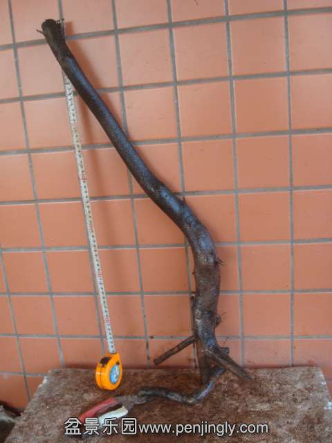 DSC01966.JPG