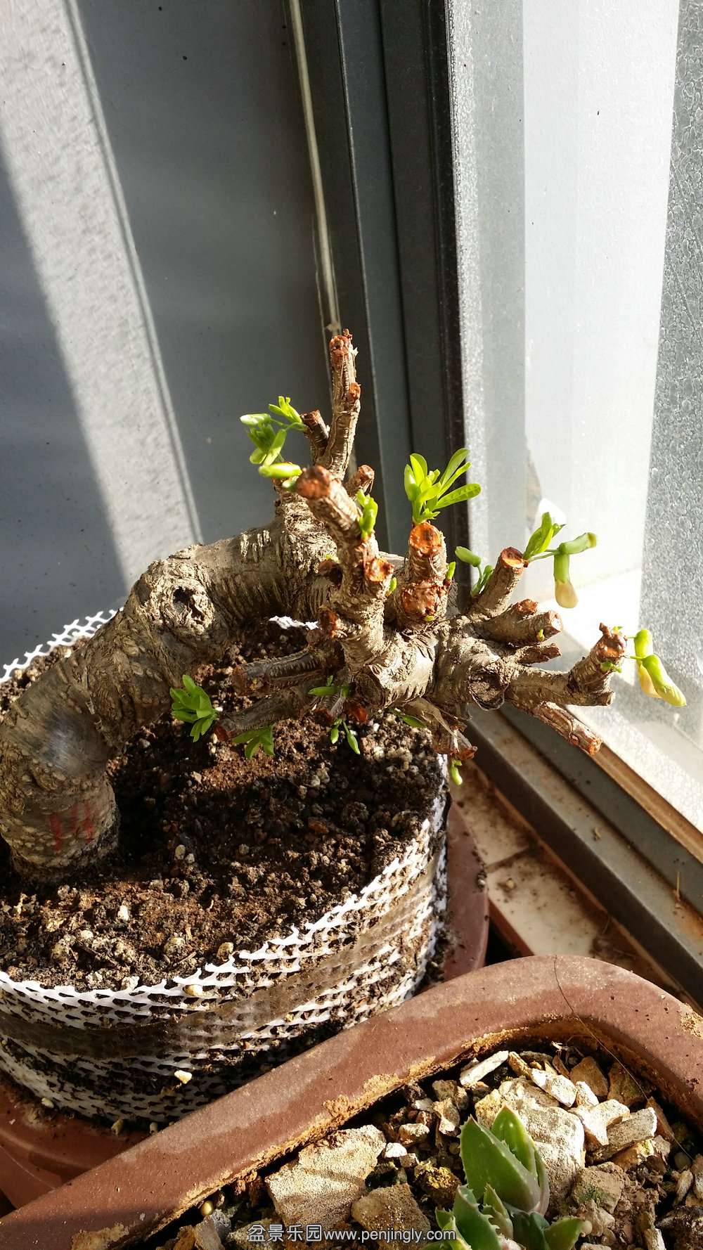 20150303_090859_.jpg