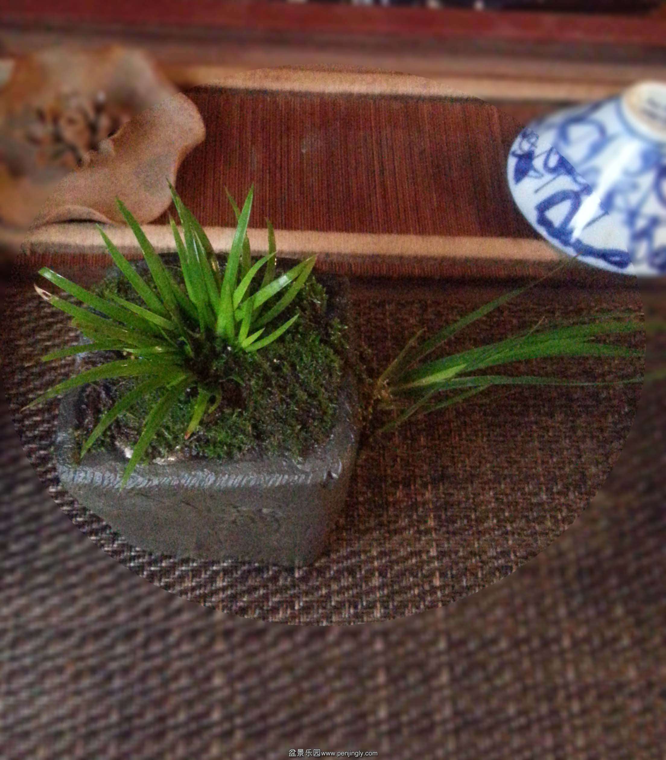 20150308_145300.jpg