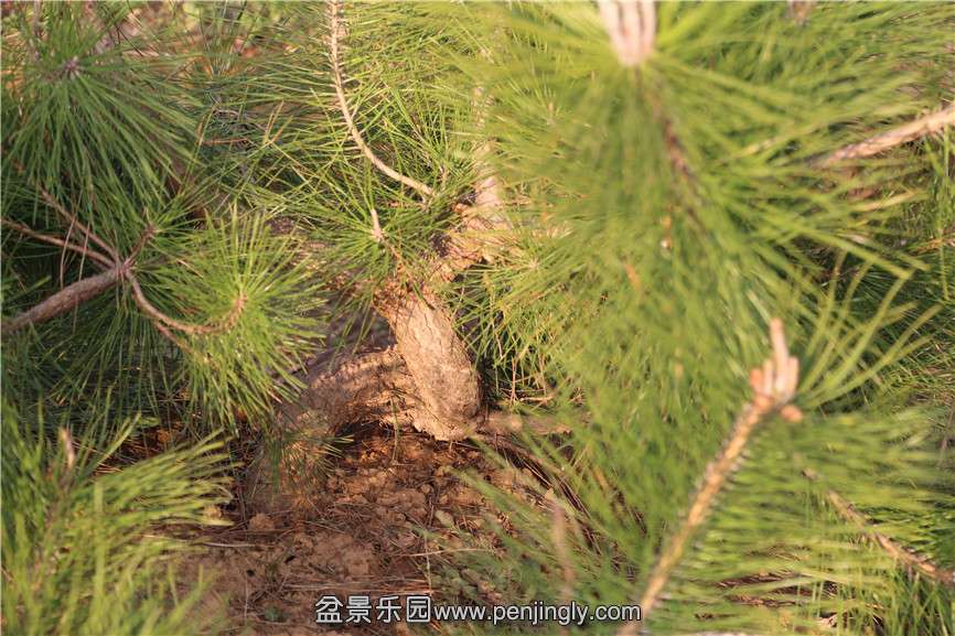 IMG_1457.jpg