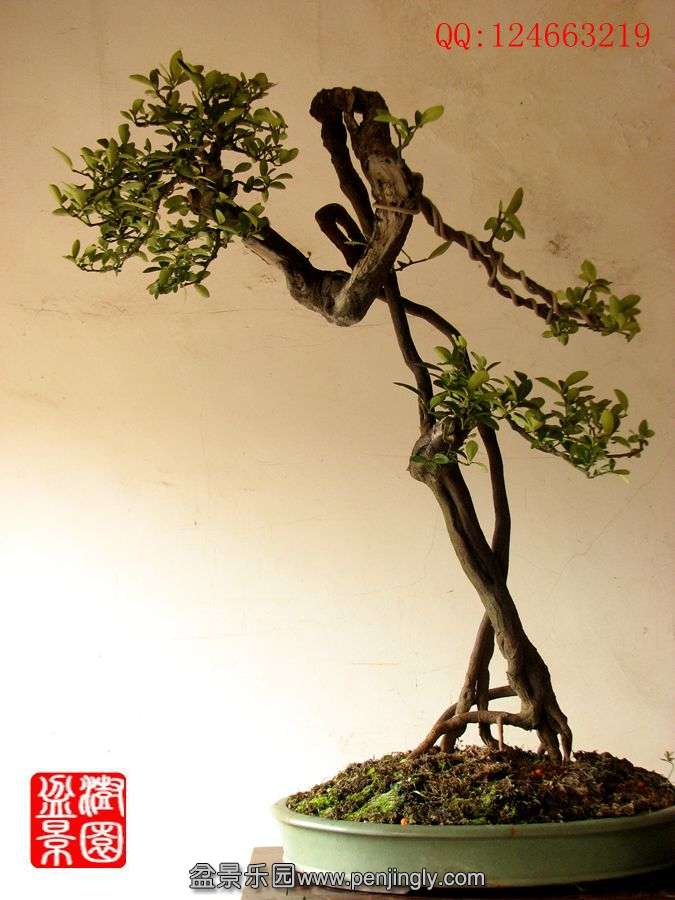 IMG_0084__.jpg