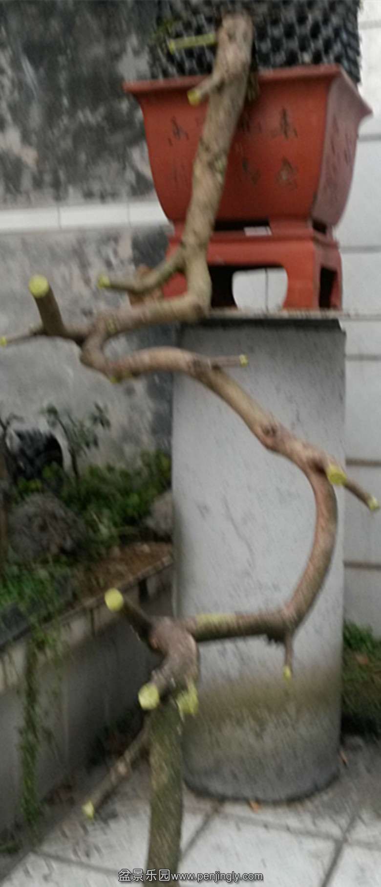 20150306_183347__.jpg