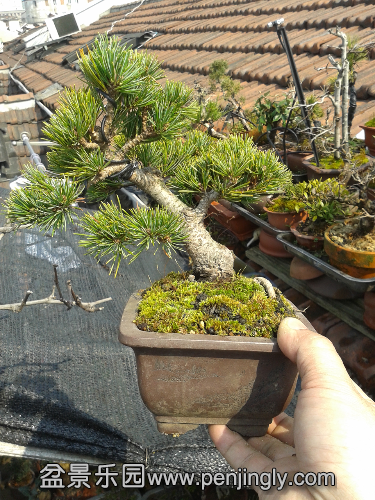 20150312_134844.jpg