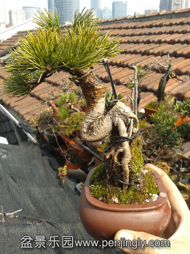20150312_134820.jpg
