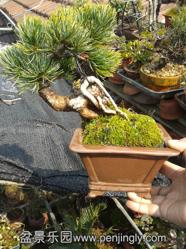 20150312_134730.jpg