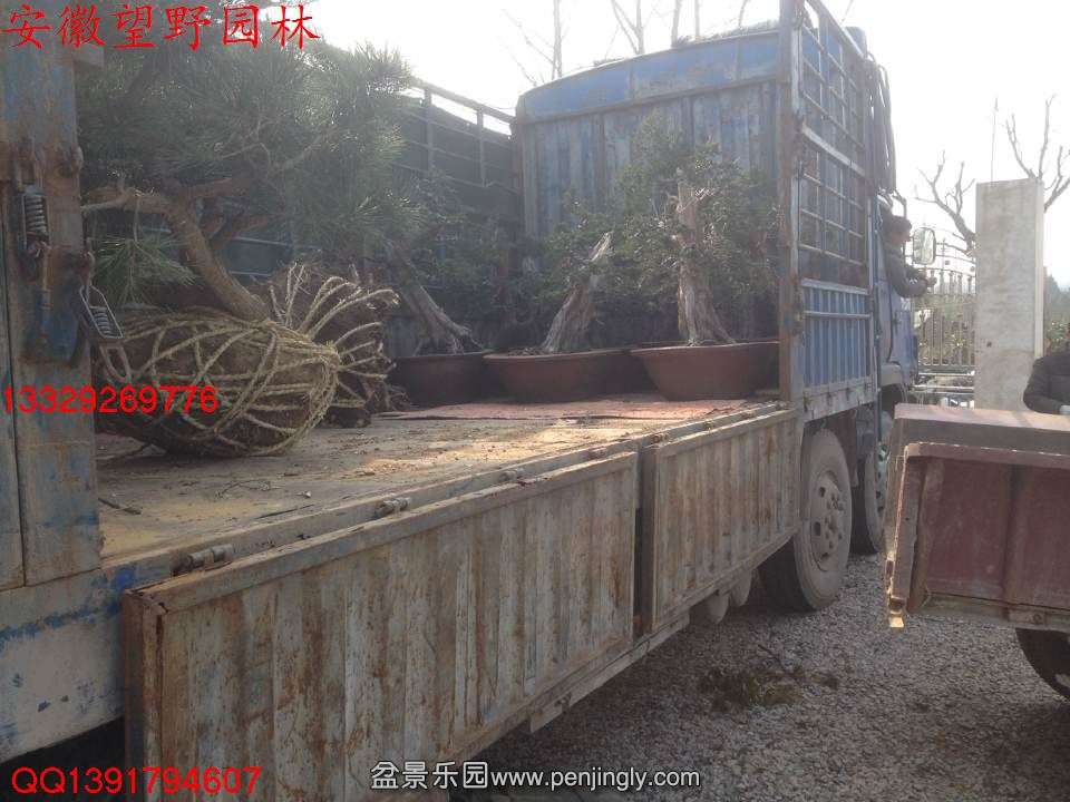 7609ACFEAB5D79852B8439E6D71D6B29.jpg
