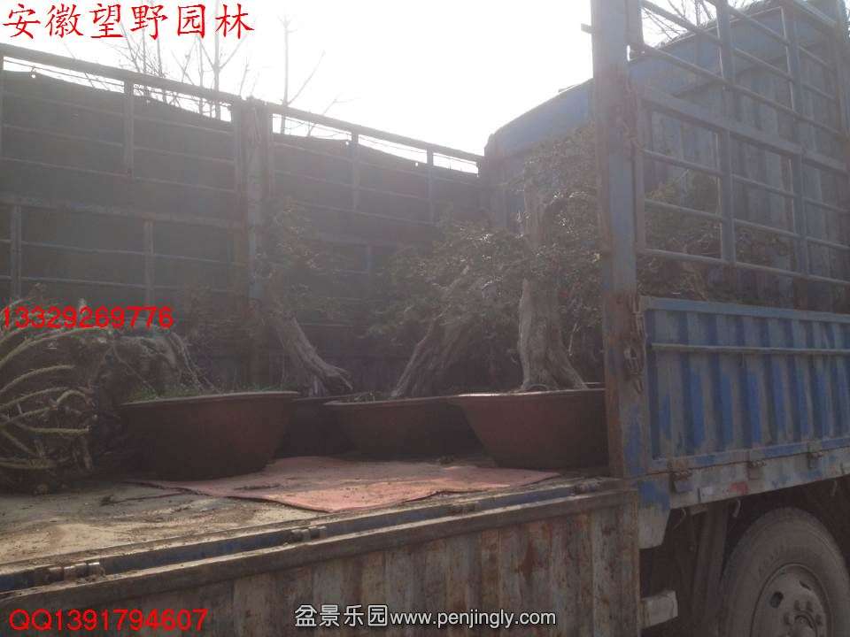 BD4841D932D2C0ECA6A3A3BCAA924DAE.jpg