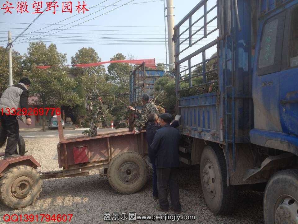B1CC2972CB952ECAE3B8A74A5BE72A2D.jpg