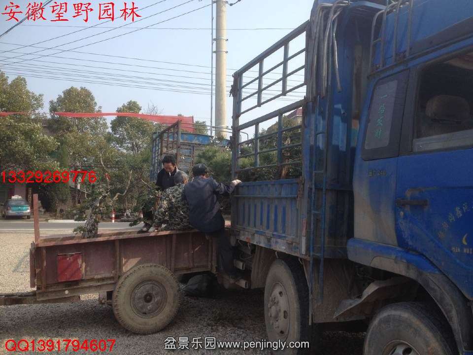 DDB39EDC9ED3EF83B376C8BA880118A6.jpg
