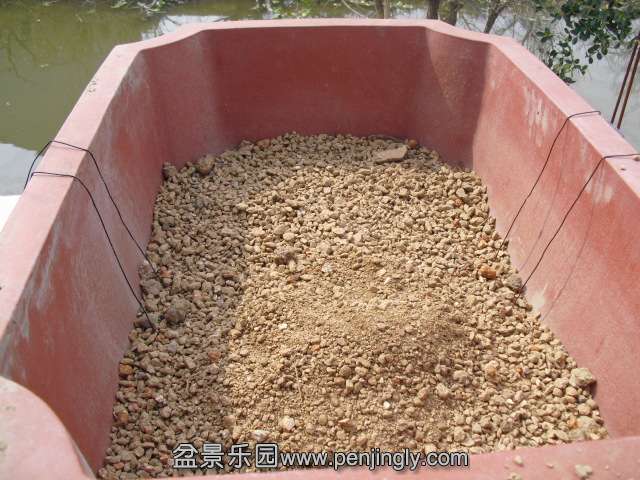 CIMG1604.JPG