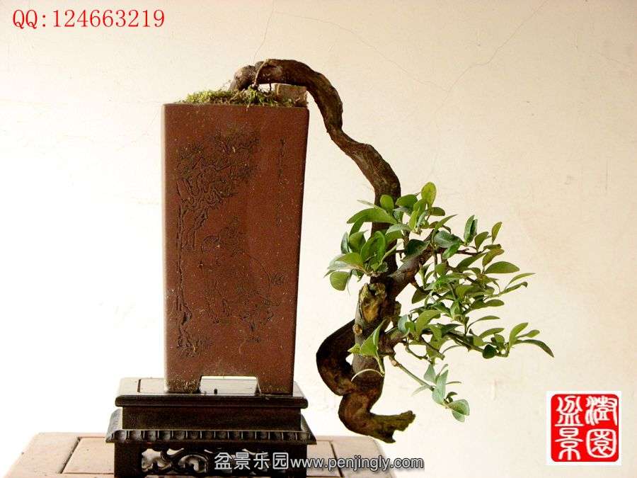 IMG_0157__.jpg
