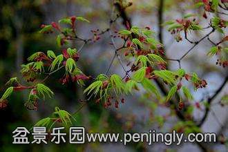 u=1406592062,1023137407&amp;fm=21&amp;gp=0.jpg