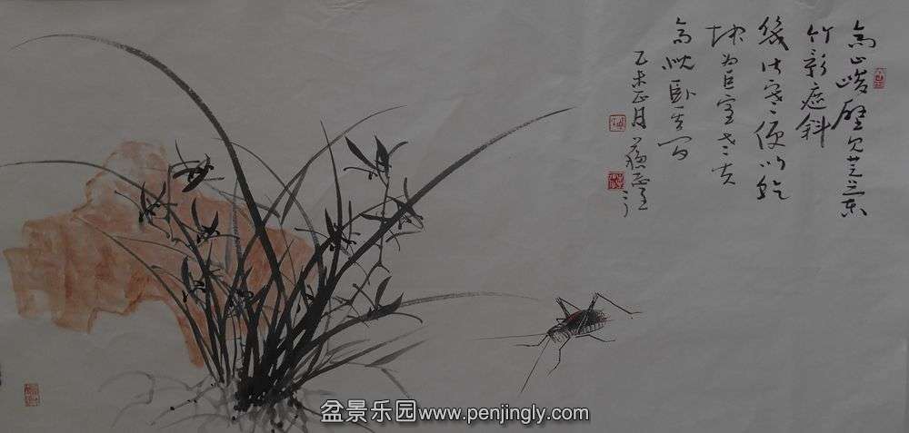 DSCN4520.JPG