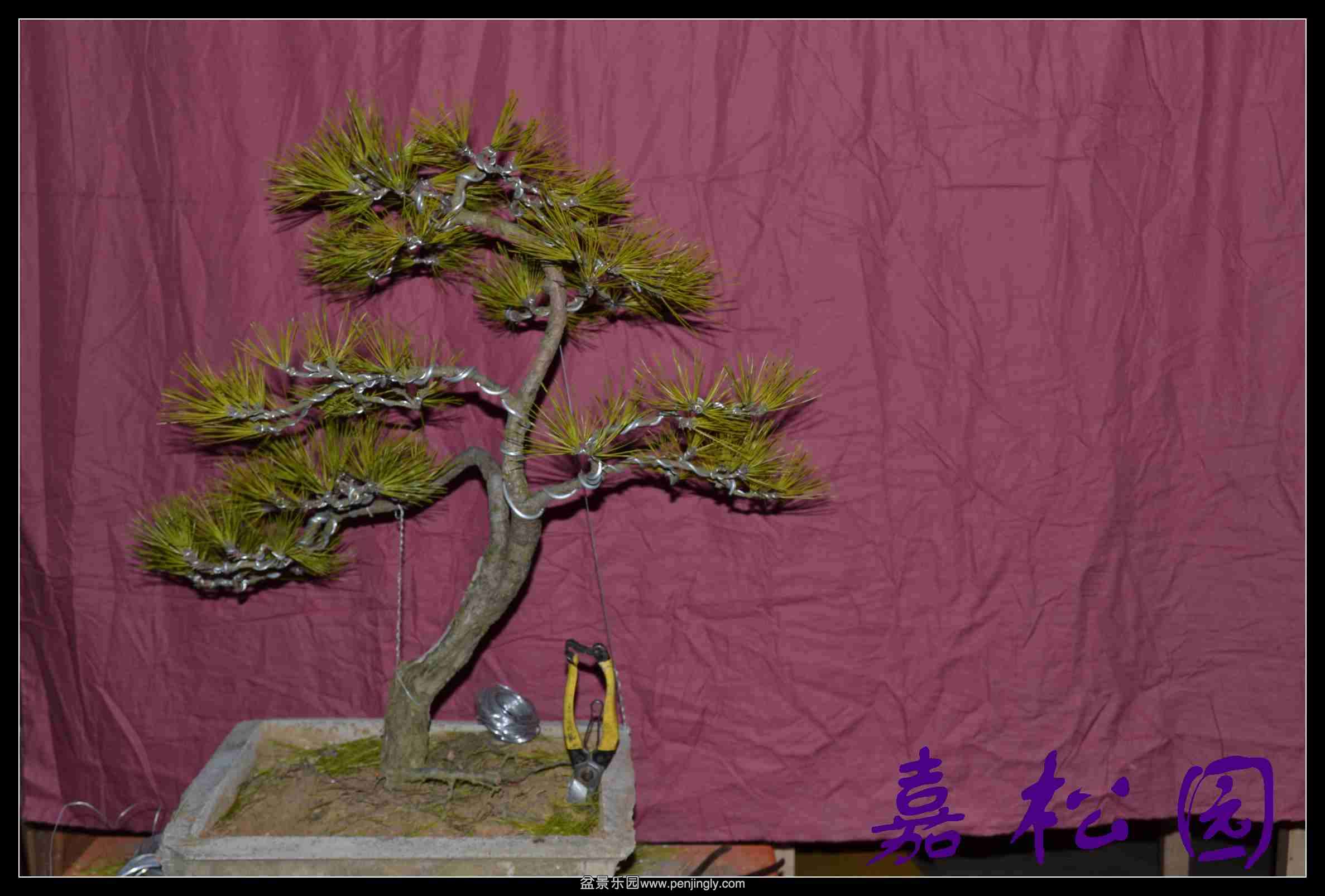 �������� 013.JPG