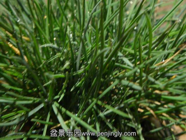 DSC00358.JPG