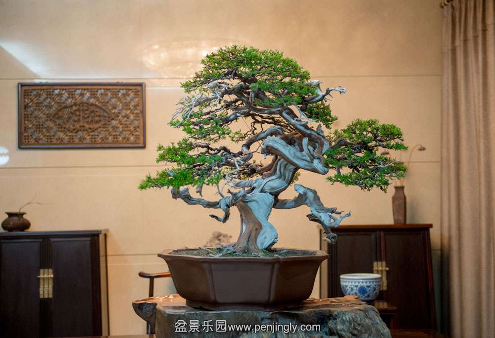 ̨����� (1).jpg