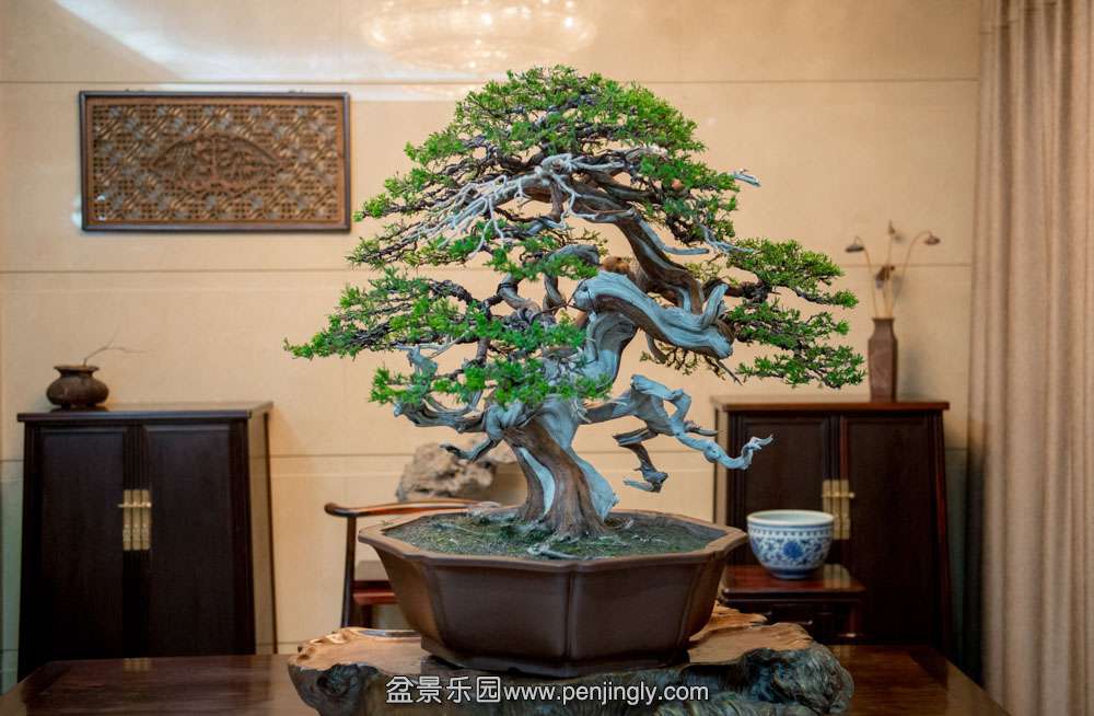 ̨����� (5).jpg