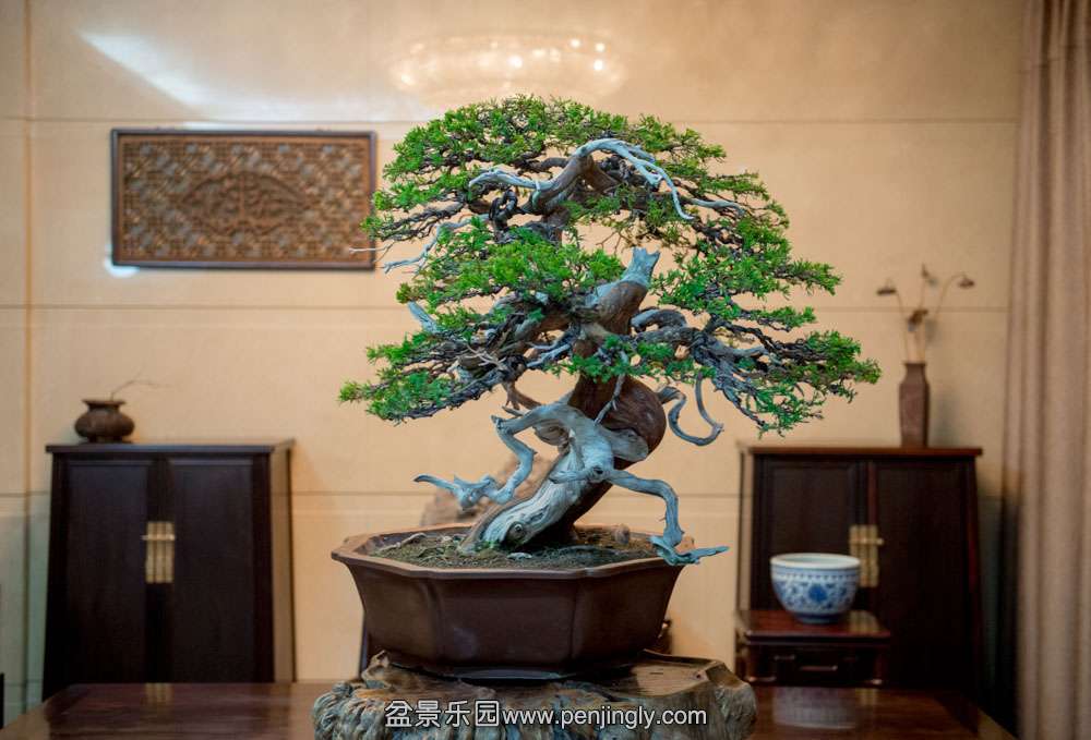 ̨����� (2).jpg