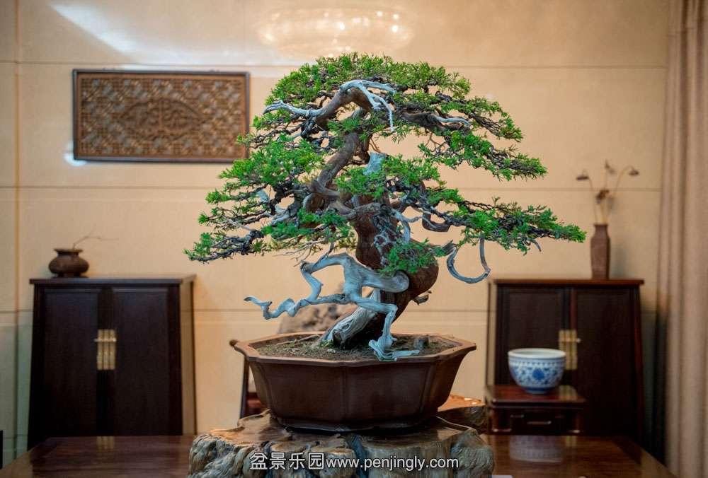 ̨����� (3).jpg