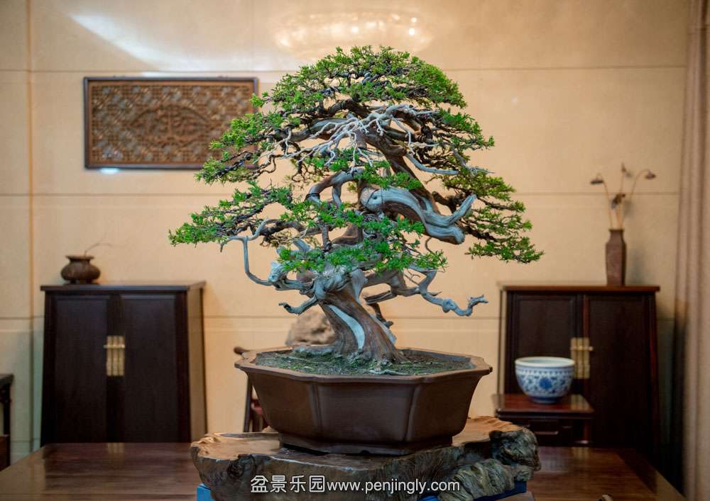 ̨����� (4).jpg