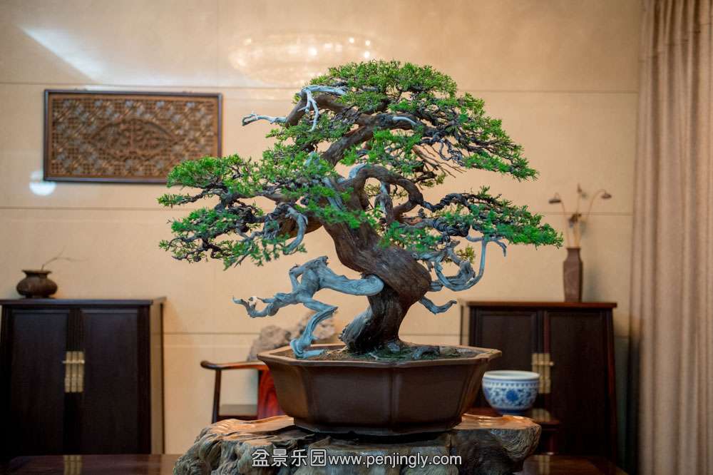 ̨����� (6).jpg