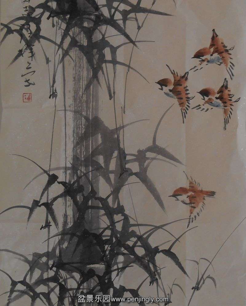 DSCN4534.JPG