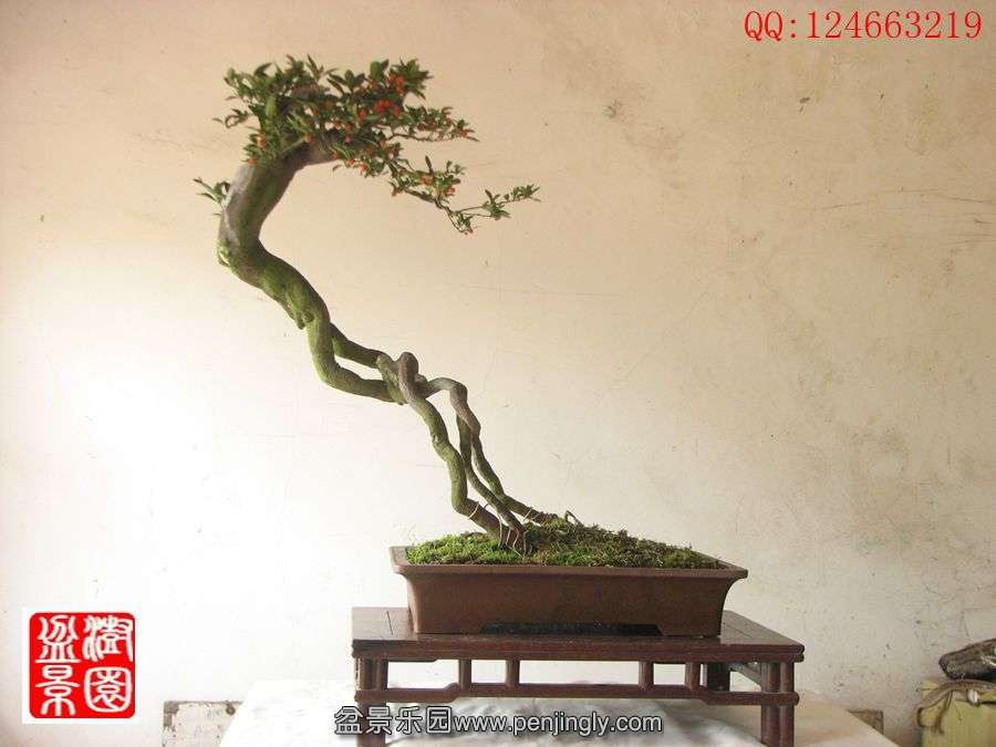 IMG_0191__.jpg