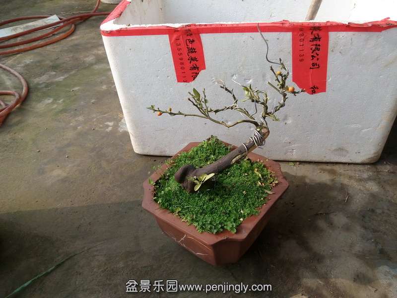 Ҷ��ȫ���ˣ���ϵ13738793398��лл