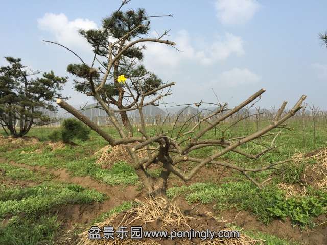 IMG_0503 (640x480).jpg