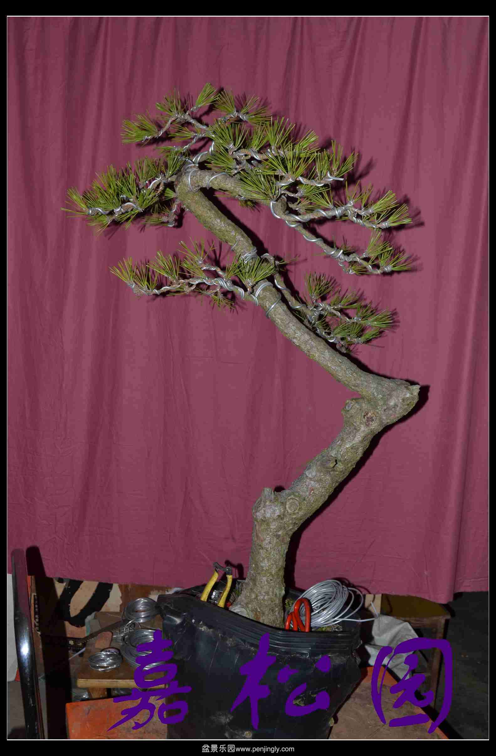 �����߸��� 008.JPG