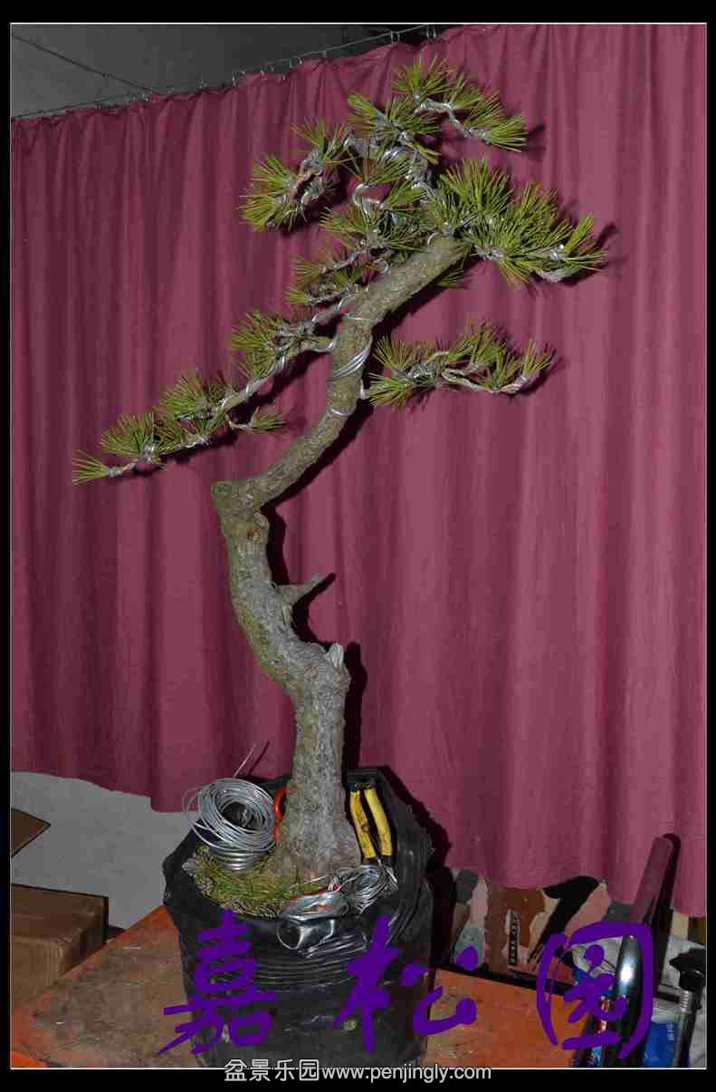 �����߸��� 004.JPG